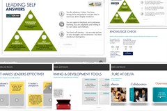 Online Leadership Program