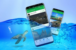 Triplook Mobile Apps