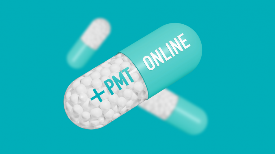 🚑 Backend Support & FHIR Integration for PMT Online screenshot 2