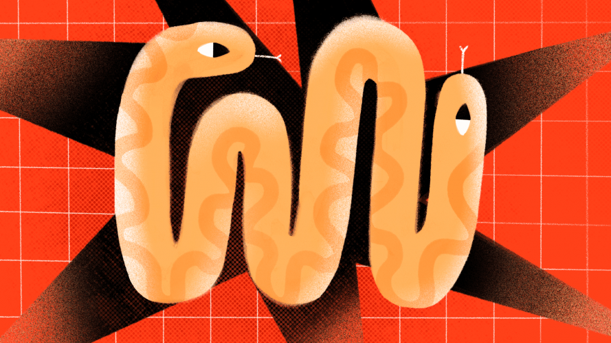 🐍 Python Development & Applications by Evrone screenshot 1