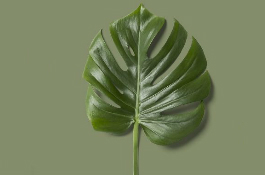 Plantscounter
