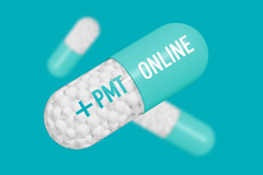 🚑 Backend Support & FHIR Integration for PMT Online