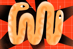 🐍 Python Development & Applications by Evrone