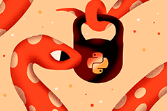 ⚙️ Achieving Go-Level Performance with Python & Granian