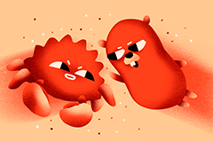 🚀 Rust vs Go in 2025: Real-World Backend Comparison