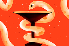 🧬 Python Transforming Healthcare Innovation