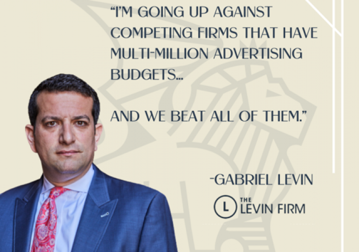 The Levin Firm screenshot 1