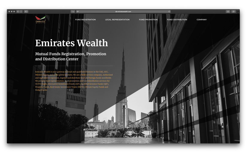Corporate identity & website, Emirates Wealth screenshot 1