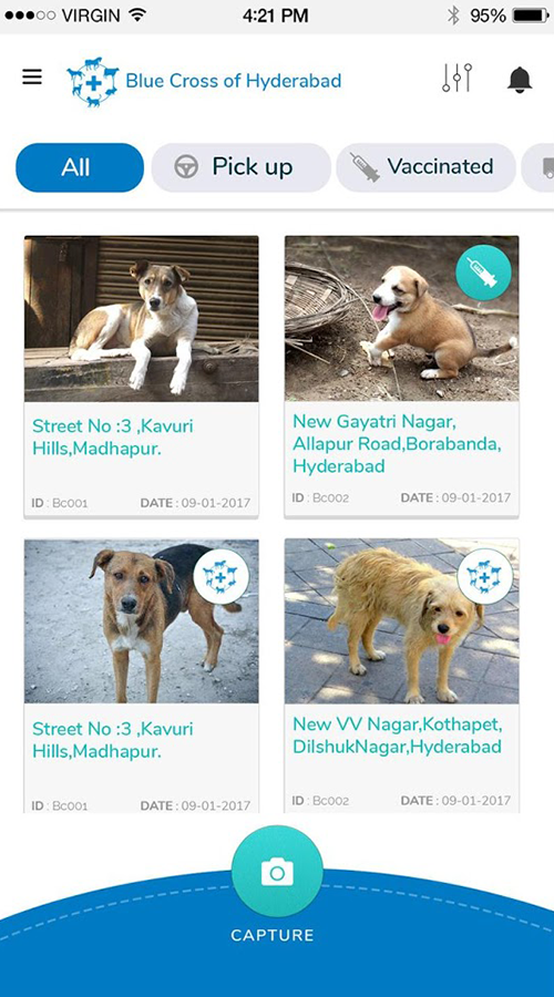 Blue Cross screenshot 1