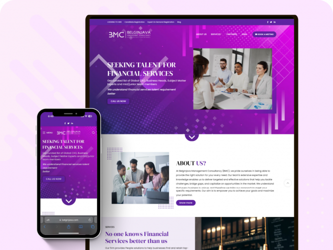 BELGINJAVA Finance Consulting Website Development screenshot 1