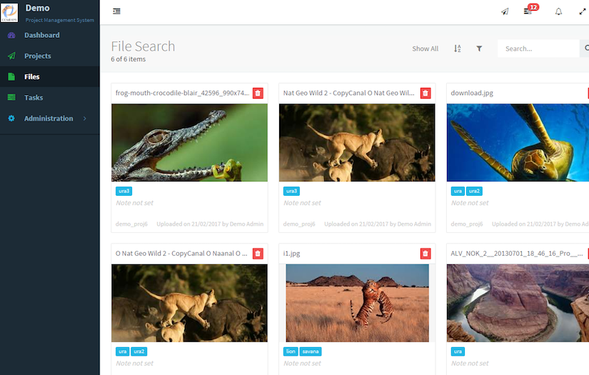 Nonprofits Project Management SaaS Solution screenshot 4