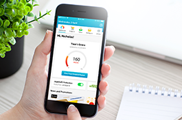 MyCredit - Credit Rating Report