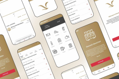 Diavitas Pro, Virtual Helath Coaching App