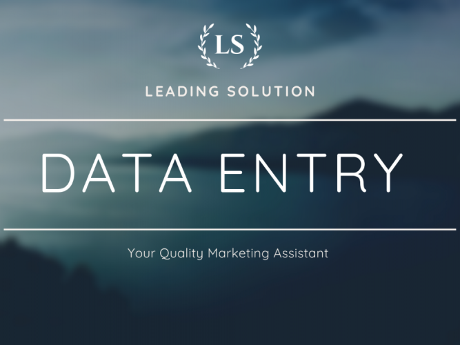 Data Entry screenshot 1