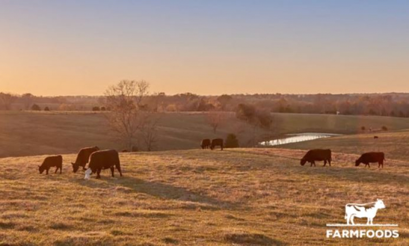 farmfoodsmarket screenshot 1