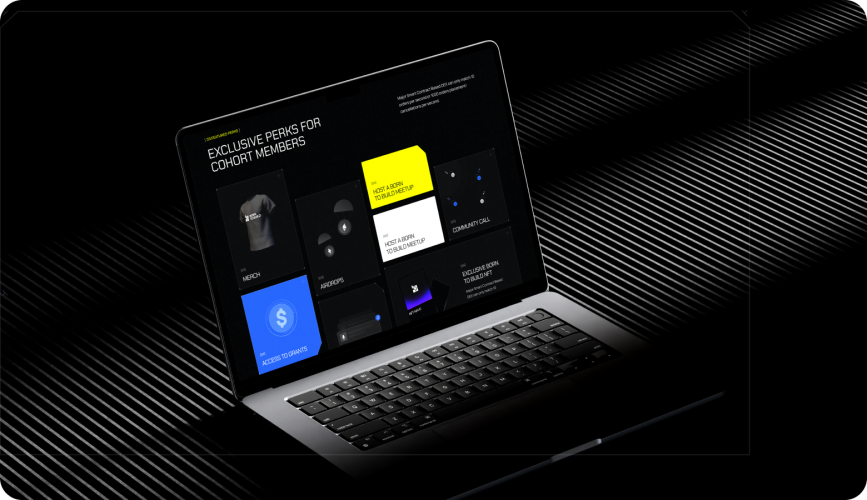Born to Build | UI/UX Design & Branding for a Web3 DAO Platform screenshot 5