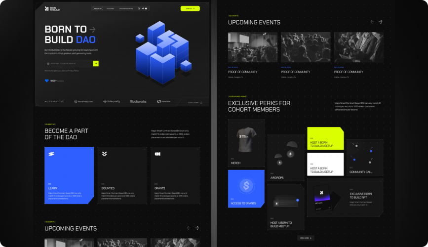Born to Build | UI/UX Design & Branding for a Web3 DAO Platform screenshot 4