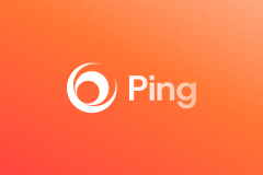 Ping | Brand Identity for Insurance Intelligence Platform