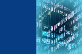 Web Development Services