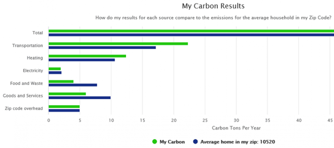 Carbon Footprint Calculator Platform screenshot 1