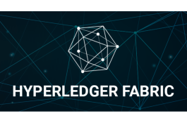 Module of Hyperledger Fabric for developing chaincode on JVM languages screenshot 1