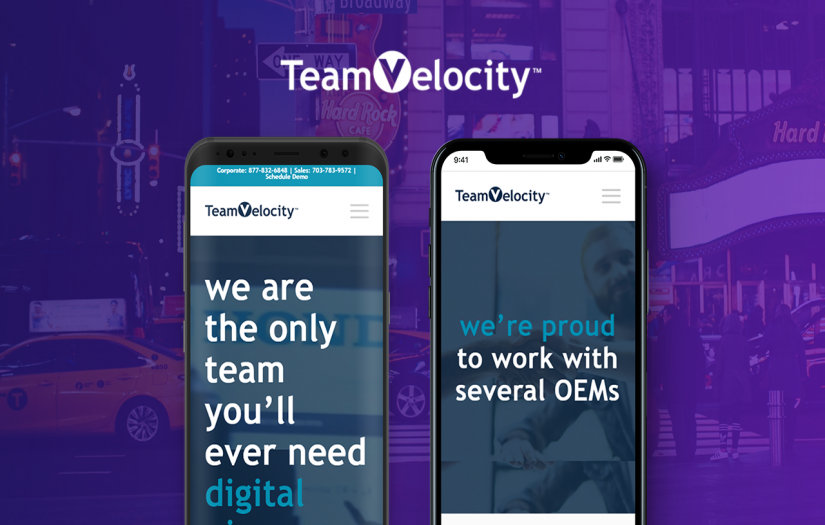 Team Velocity screenshot 1