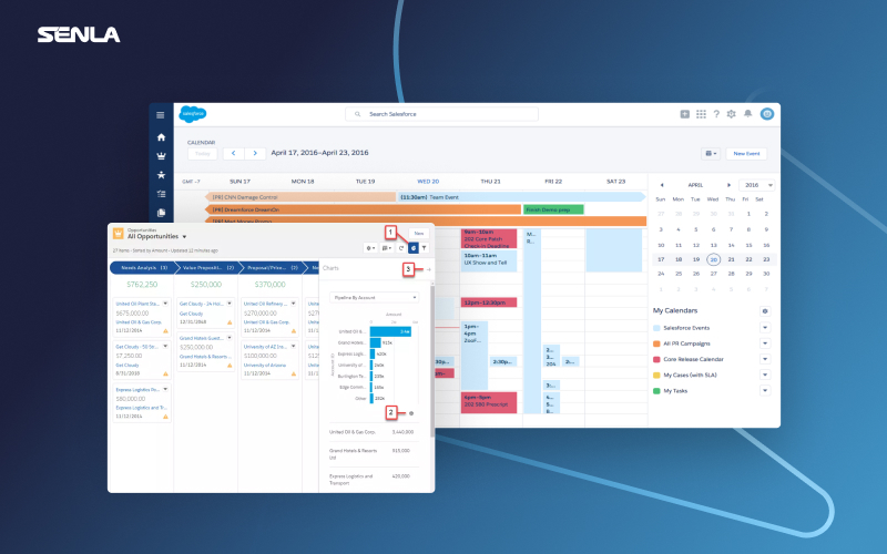 Customization of a CRM system for a Pharmaceutical company screenshot 1