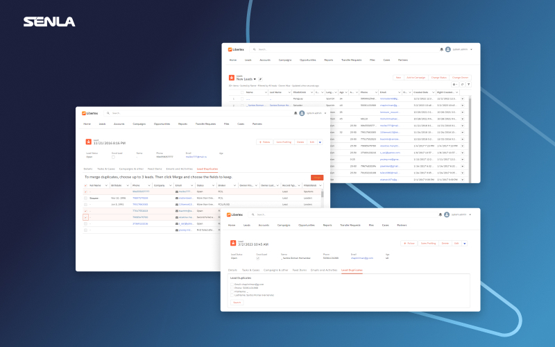 Custom Salesforce partner portal screenshot 1
