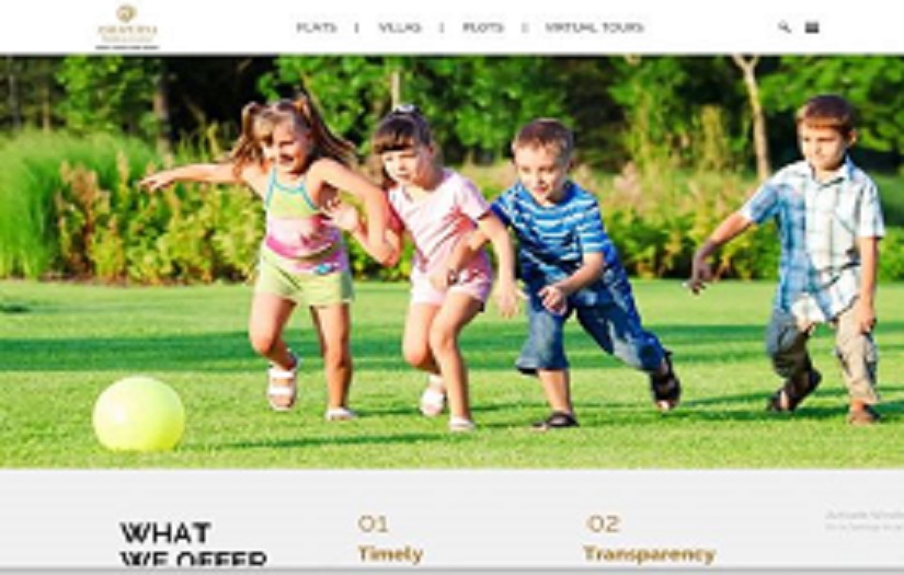 Website Design for Real Estate Player