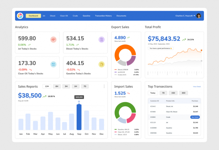 Power BI Solution for a Geneva Based Trading & Shipping Firm screenshot 3