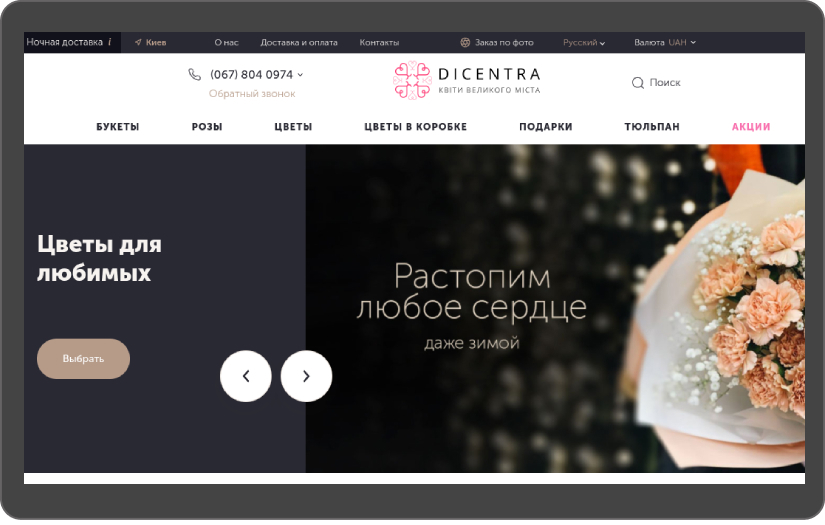 Dicentra screenshot 2