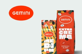 Gemini