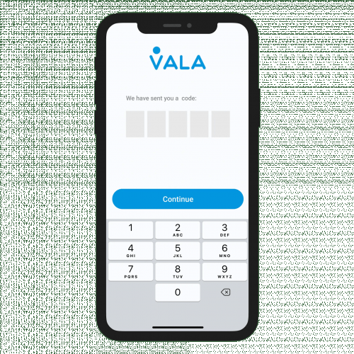 ValaPay money transfer platform screenshot 3