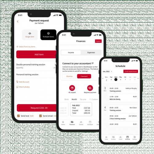 Payment system for entrepreneurs from scratch screenshot 2