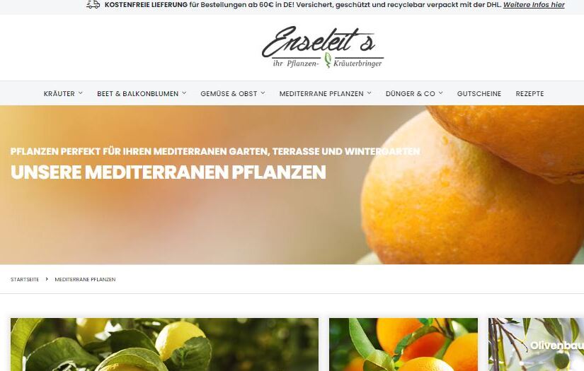 Enseleits screenshot 1