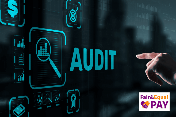 Fair&Equal Pay application for digitized employee compensation audits screenshot 1