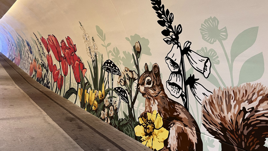 Alli K Design Brings Murals to Life with Augmented Reality at the Dallas Arboretum and Botanical Garden screenshot 1