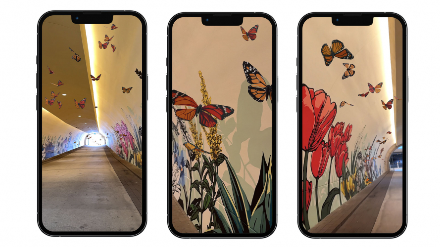 Alli K Design Brings Murals to Life with Augmented Reality at the Dallas Arboretum and Botanical Garden screenshot 2