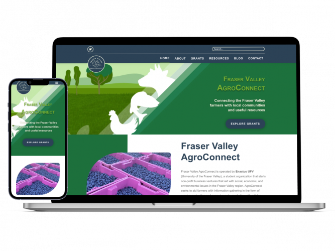 Crafting Comprehensive WordPress Web Solutions: From Ideation to Development screenshot 1