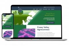 Crafting Comprehensive WordPress Web Solutions: From Ideation to Development
