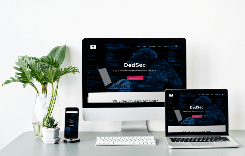 DedSeec screenshot 1