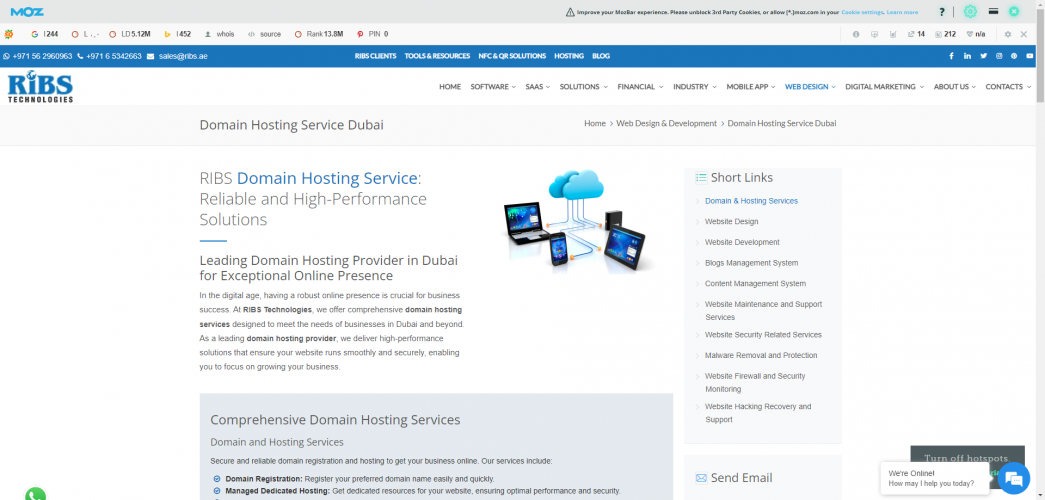 Domain Hosting screenshot 1