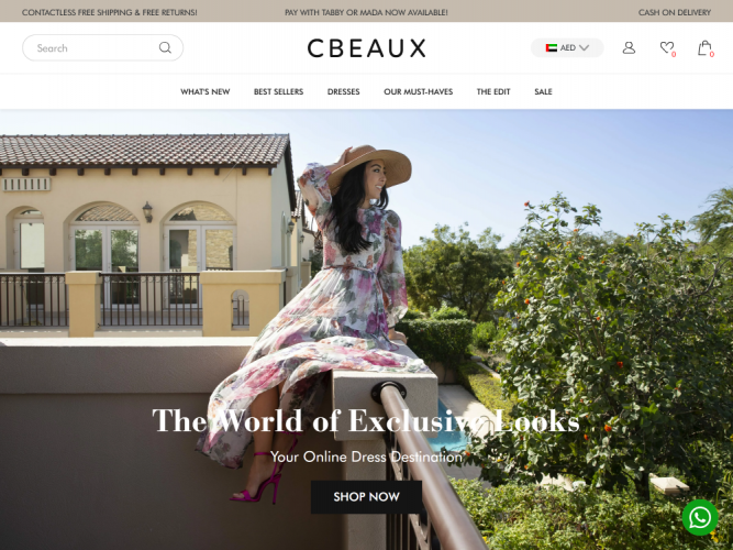 CBEAUX Website screenshot 1