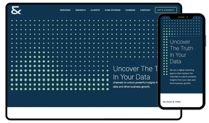 AI Data Visualization for Block & Tam screenshot 1