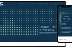 Block & Tam - Custom Data Visualization Platform
