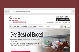 Sitecore-Based Web Application For Online Reports