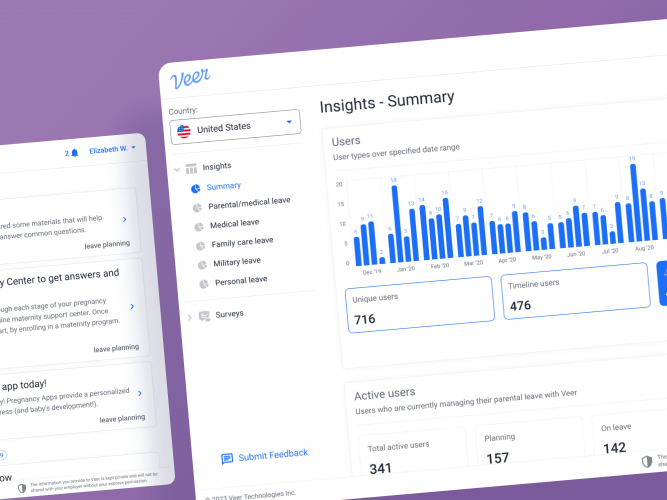Veer - Development Staff Augmentation for SaaS Company screenshot 2