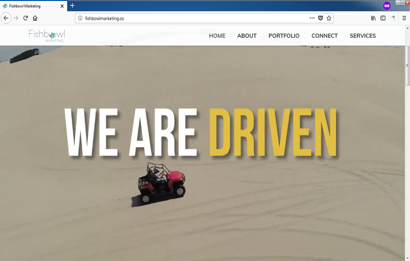 IT company website screenshot 1