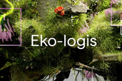 Custom digital tools for waste management company