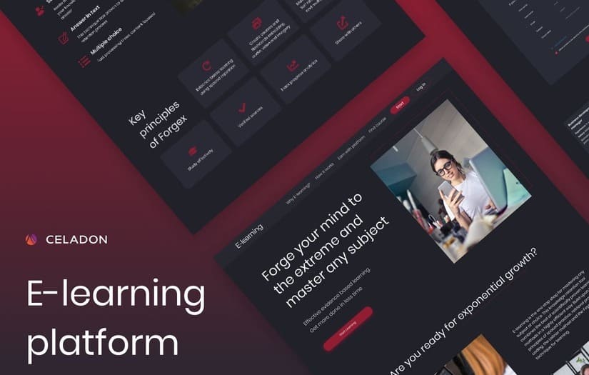 E-learning Software Development screenshot 1